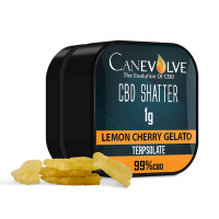 Lemon Cherry Gelato - Canevolve CBD Shatter 99% 1g