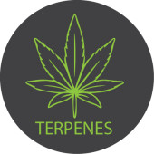 Terpene Products